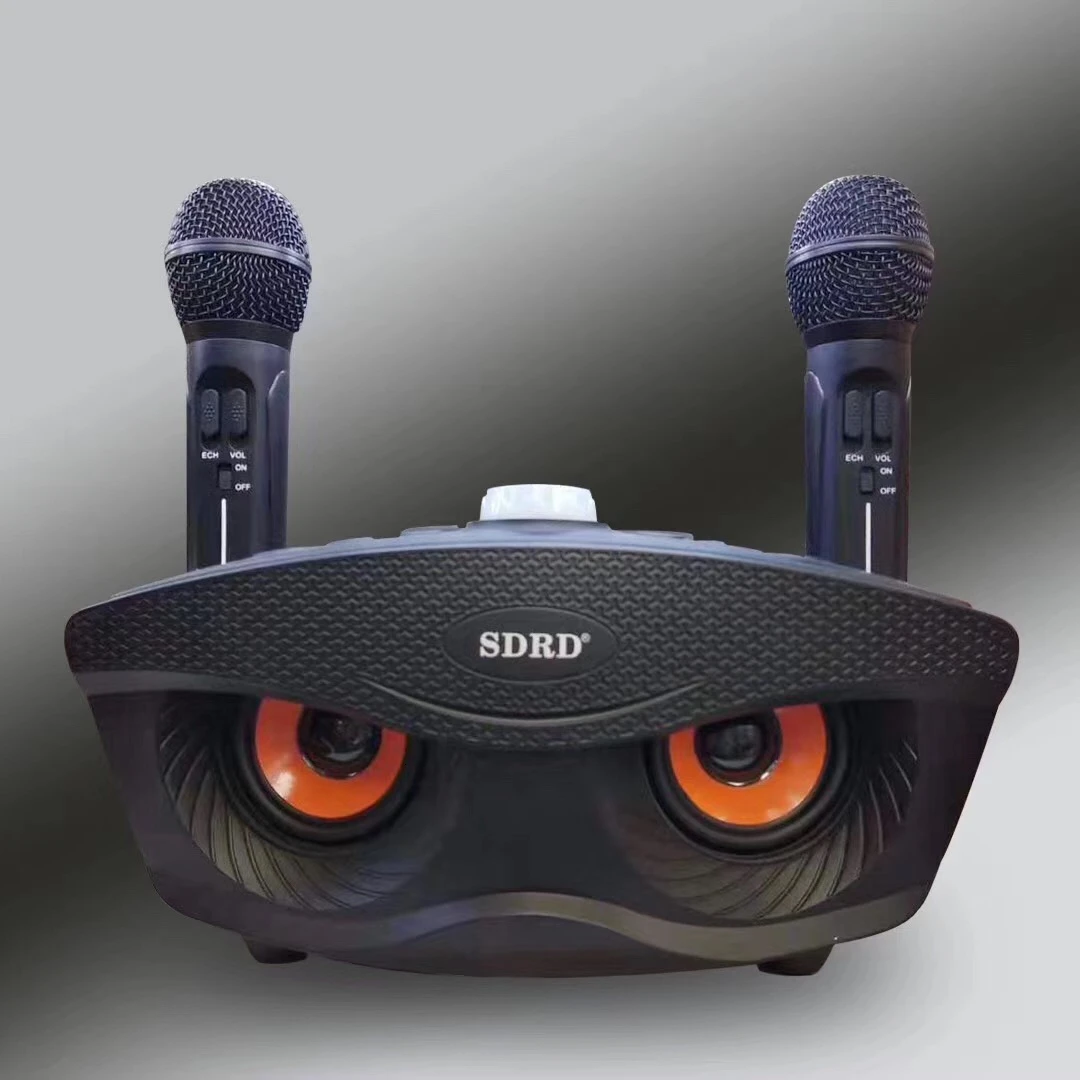 SD306 двойной Bluetooth динамик с 2 беспроводными микрофонами Открытый Семейный KTV стерео микрофон большой звук 20 Вт SDRD Sd 306 набор динамиков