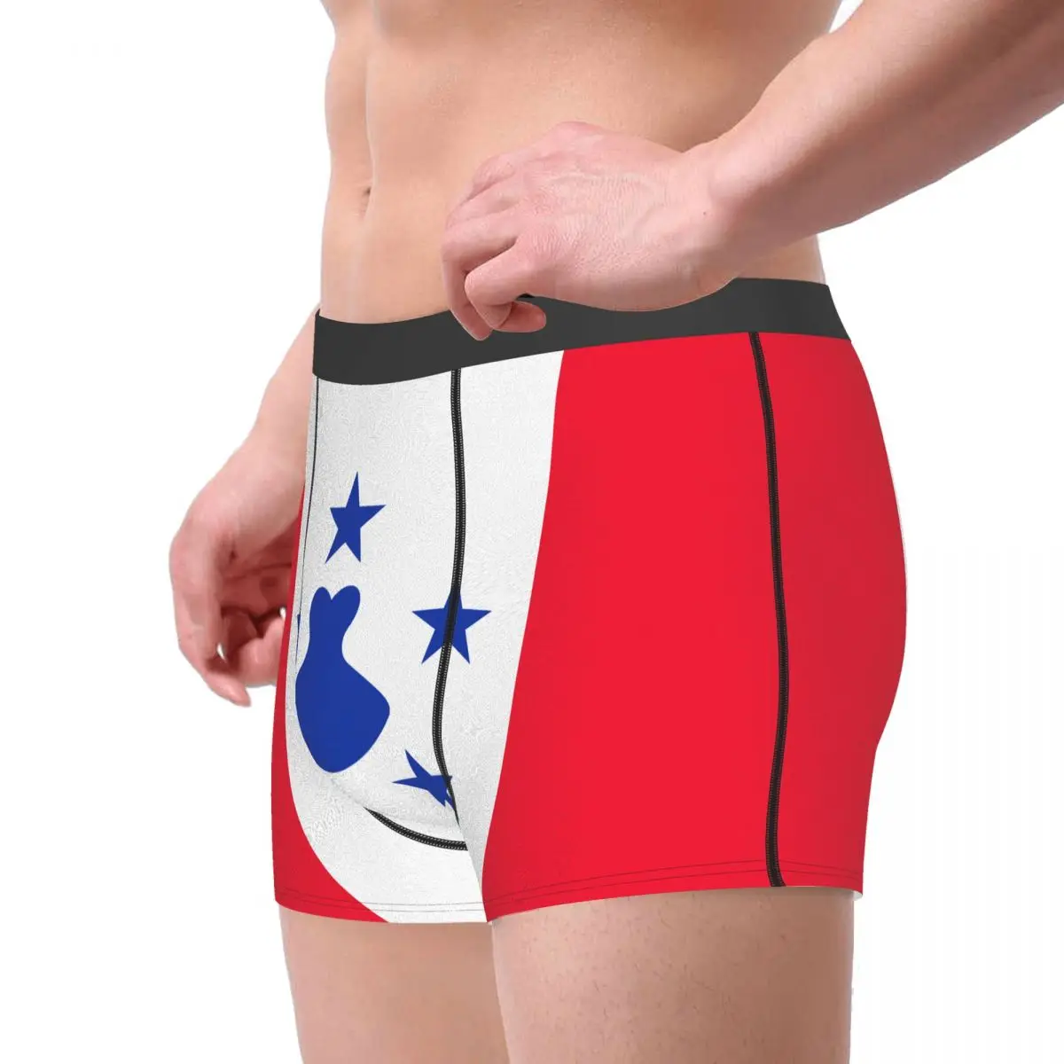 Flag Of The Austral Islands Men's Boxer Briefs Flags of the regions of France Humor Graphic Men's boxer leggings