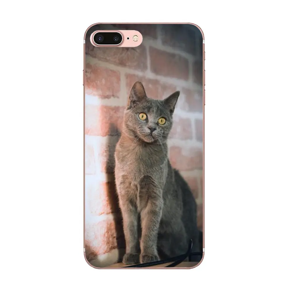 Котенок черная кошка для Xiaomi Redmi Note 2 3 3S 4 4A 4X5 5A 6 6A Pro Plus Art распродажа Роскошный