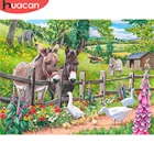 HUACAN полный квадратный Круглый Алмаз Вышивка Ослик кристалл Rinestone 5D алмазная живопись животное мозаика утка наклейки на стену