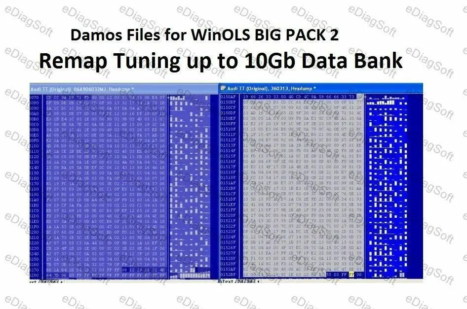 

Damos файлы для WinOLS BIG PACK 2 Remap тюнинг до 10 Гб банк данных