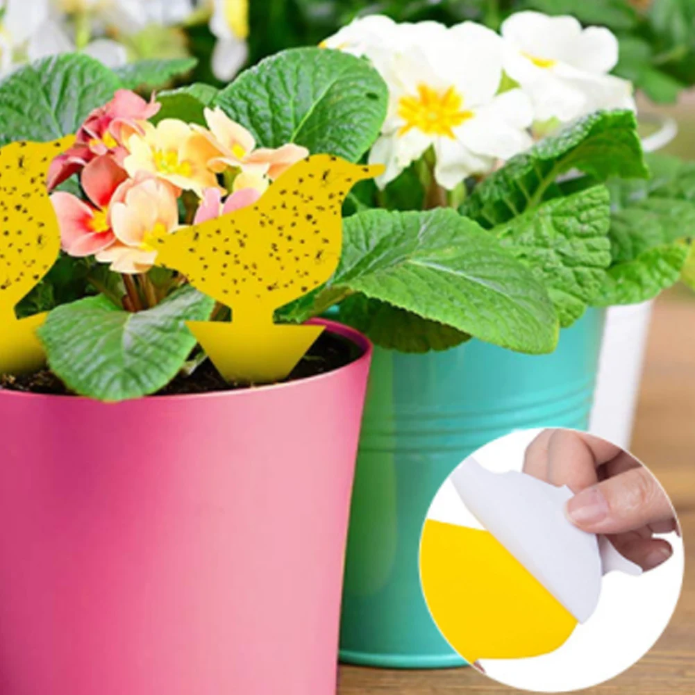 

Flie Traps Bugs Sticky Board Dual-Sided Sticky Traps Flying Plant Insect Catcher Lightweight Support Wholesale and Dropshipping