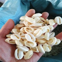 200pcs 2 0 2 3cm natural cut cowrie shells natural shell conch beads cowrie tribal jewelery craft accessories diy seastar
