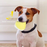 2021 best selling products soft plush dog squeaker sound toy tooth cleaning dog chew toy for puppy small big dogs pets supplies