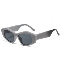 retro women sunglasses small cat eye frame men sun glasses uv400 protection eyewear summer travel beach trendy eyeglasses