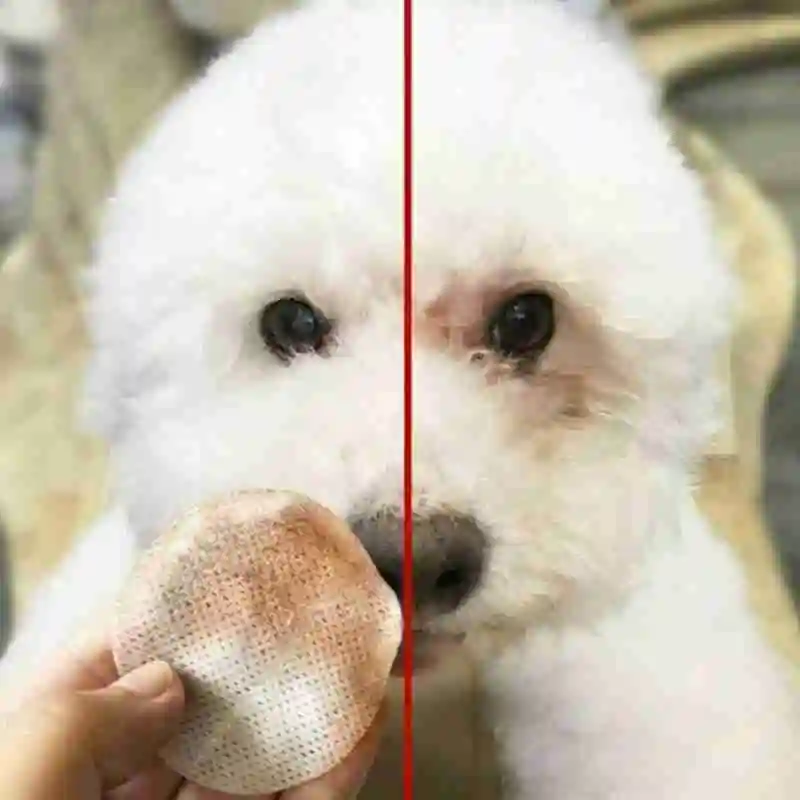 

Dogs Cats Tears Remover Pet Eyes Cleaning Wipes Paper Towels Non-Intivating Grooming Wet Wipe Pet Eyes Cleaning Wipes
