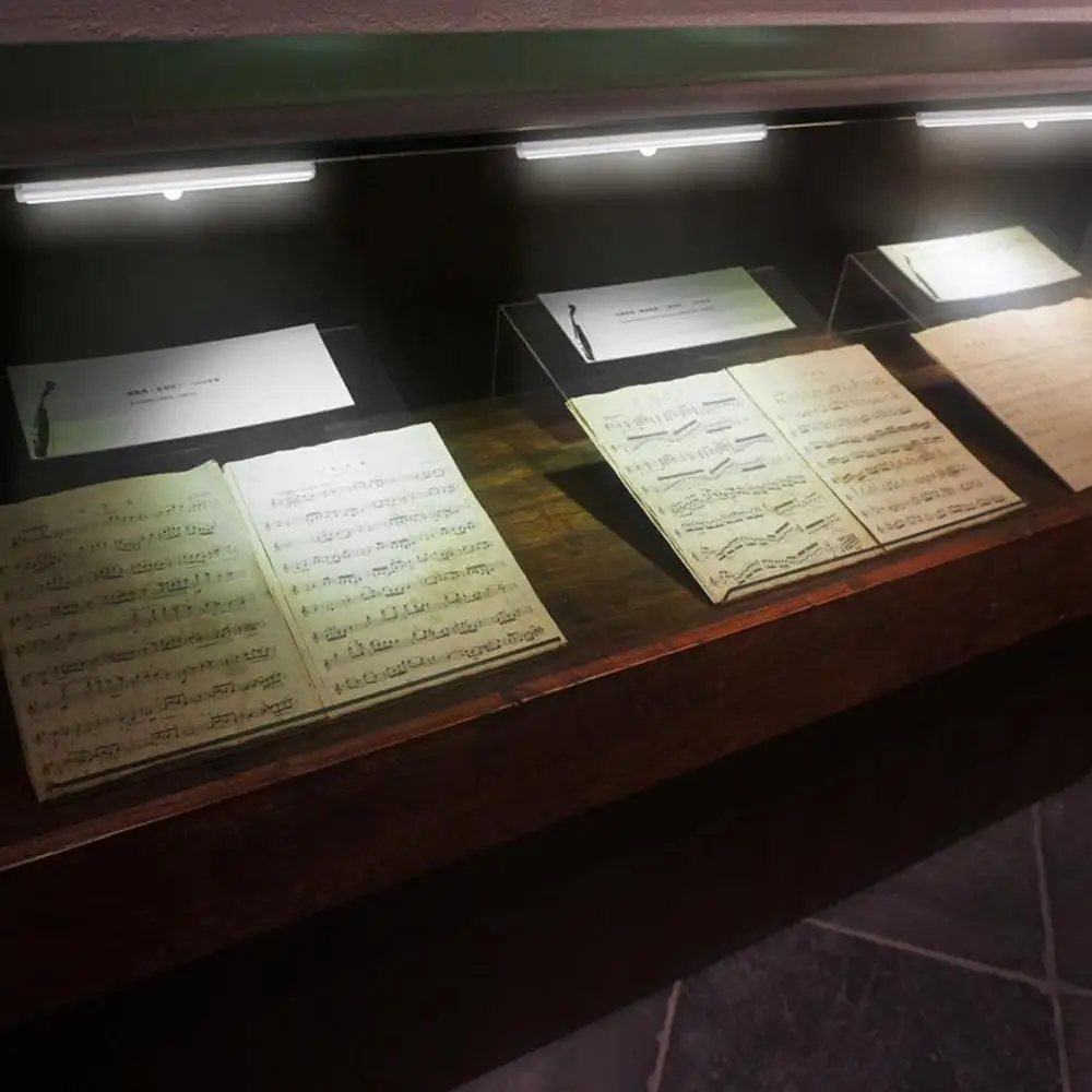 Светодиодная лампа 10 светодиодный одов портативный ночник для шкафа светодиодов