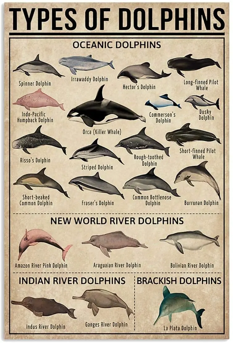 

Eeypy Metal Tin Signs Vintage Dolphin Knowledge Metal Sign, Vintage Wall Art, Home Decoration Sign Anniversary Birthday Retro