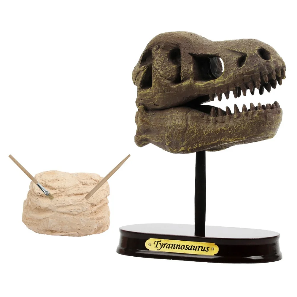 

Kid Simulated Dig Excavation Dinosaur Head Skull Model Desktop Ornament Toy Gift