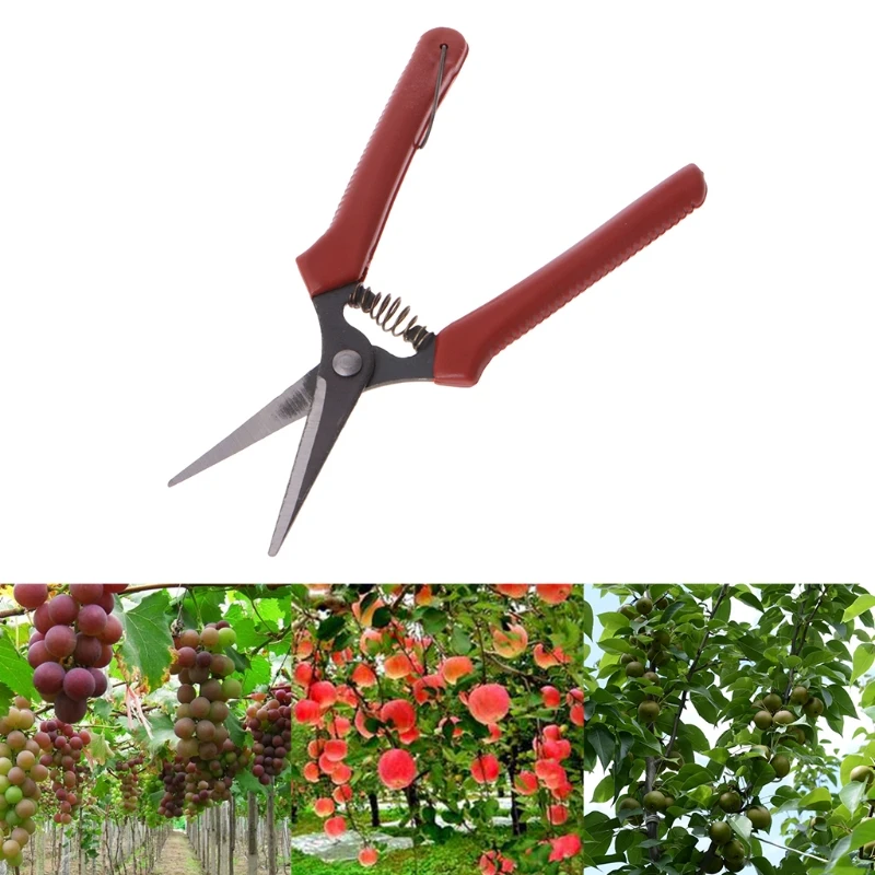 

Carbon Steel Head Gardening Scissors Cutting Branch Shears Bypass Pruner Durable&Long-Term Use For Garden Farmland Easly Cuting