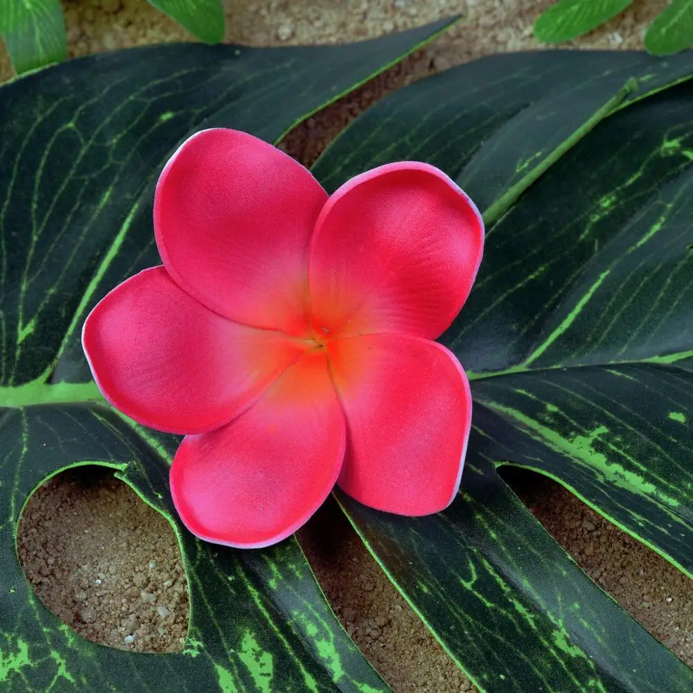 Рисунок 4 - Бесплатная доставка