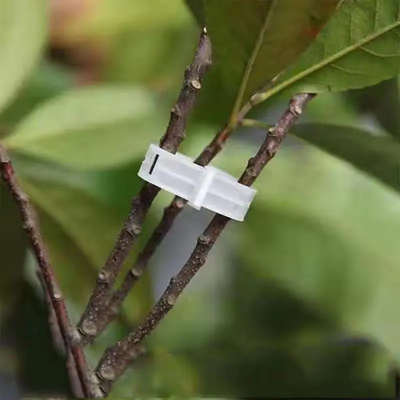 Прочные пластиковые зажимы для поддержки растений 30 мм | Дом и сад