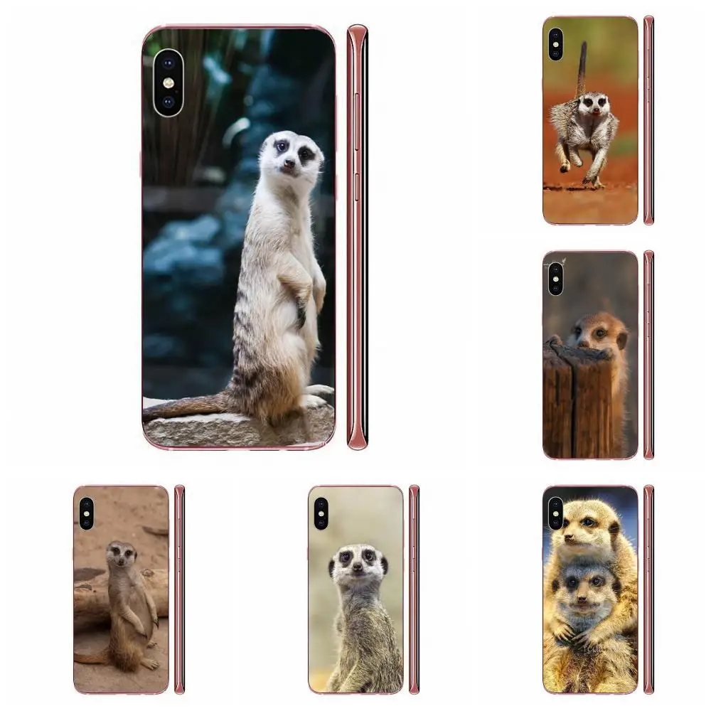 Сотовый телефон из мягкого ТПУ прозрачный для Huawei Honor 10 10i 20 20i 8S lite Y9 Prime Y7 2019 Y5 2018 p40