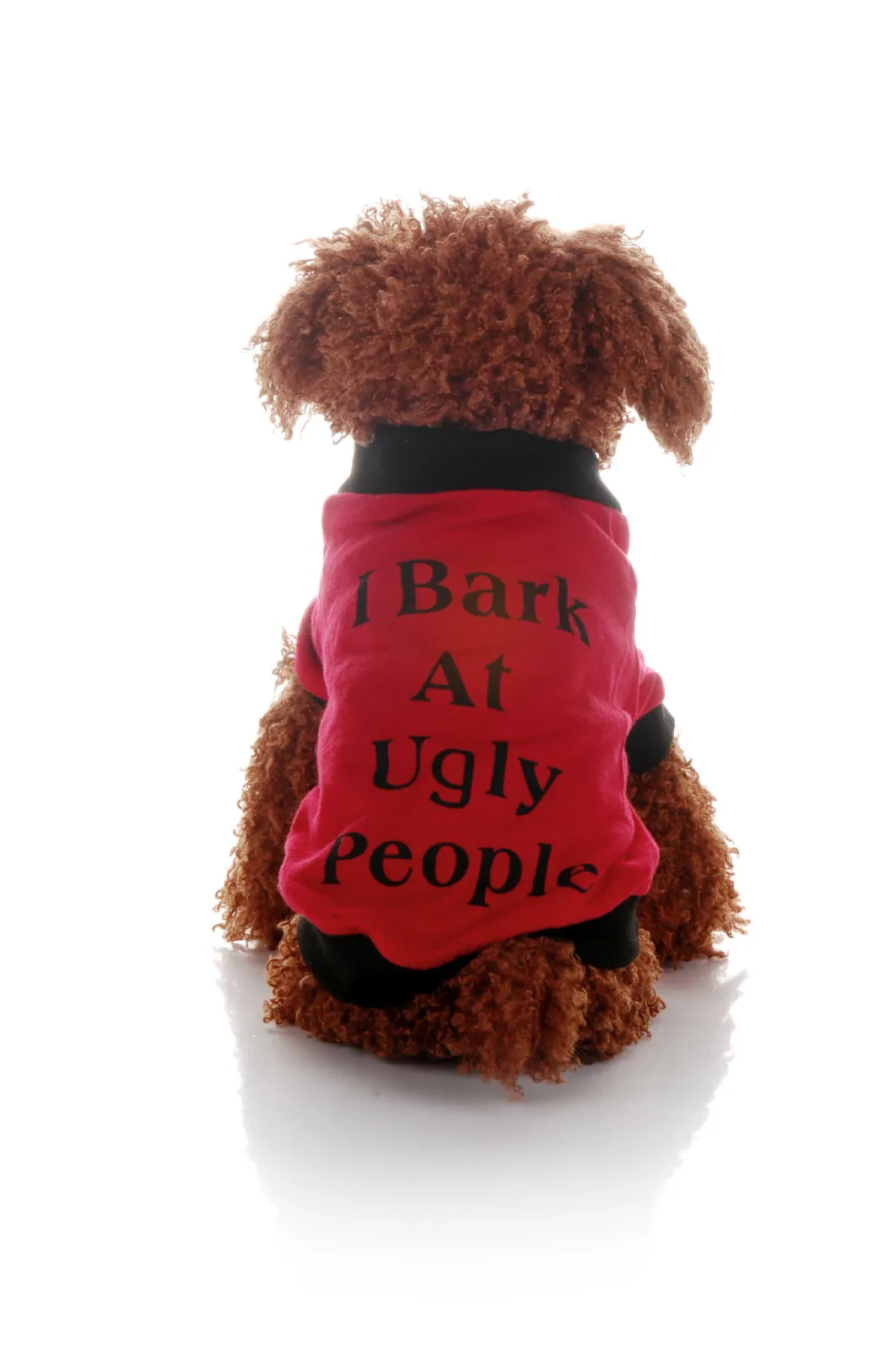 Транзер креативный горячий! 2020 собака одежда для кошек Сезон лето футболка