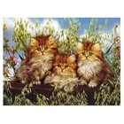 Полноразмерная 5D Вышивка Три кошки сделай сам, вышивка крестиком, мозаика, картина из страз, украшение для дома, подарок FH508