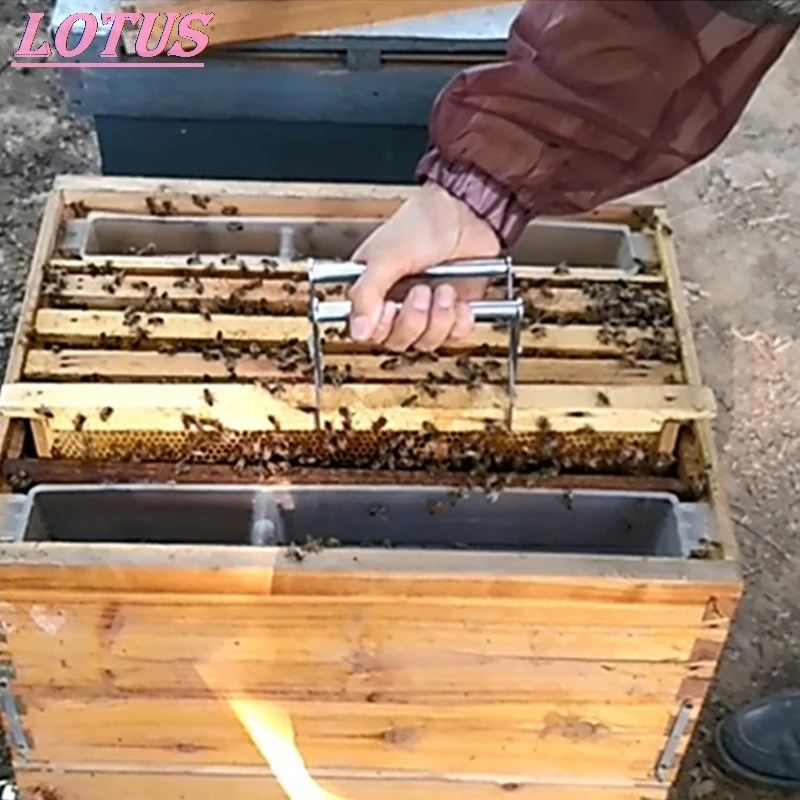 Нержавеющая сталь рамка в виде пчелиного улья держатель захвата захват кадра