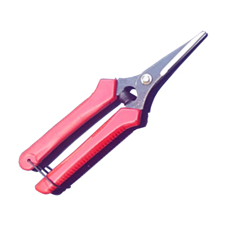 Высокое качество бытовой прямой садовый горшок ремонт ножницы виноград