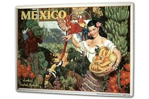 

Cartel de hojalata, postal de viaje mundial, México