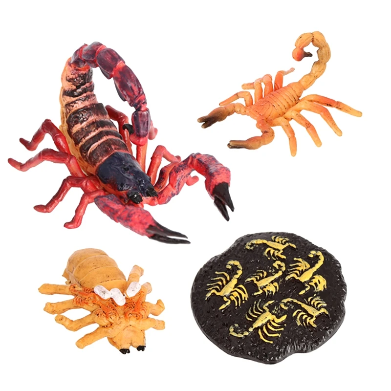 

Simulation Animals Scorpion Growth Cycle 4 Separate Pieces Growth Cycle Model Figure Science Educational Toys
