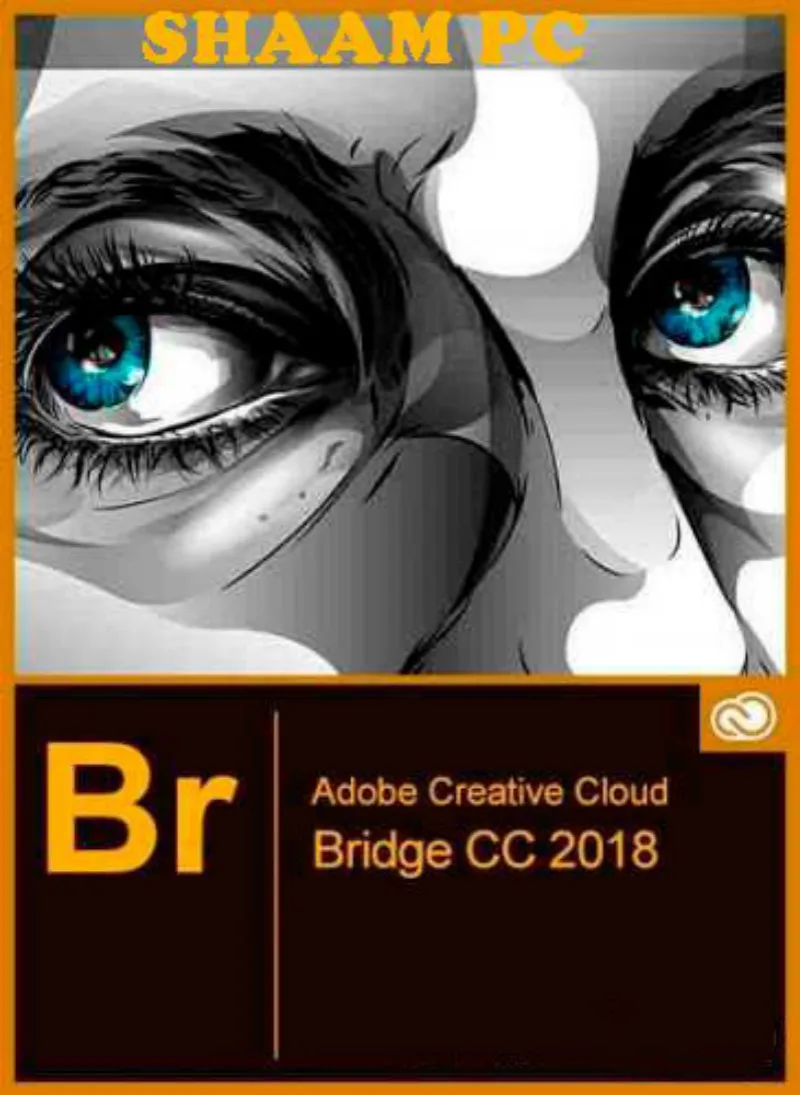

Bridge CC 2018 Software Win/Mac