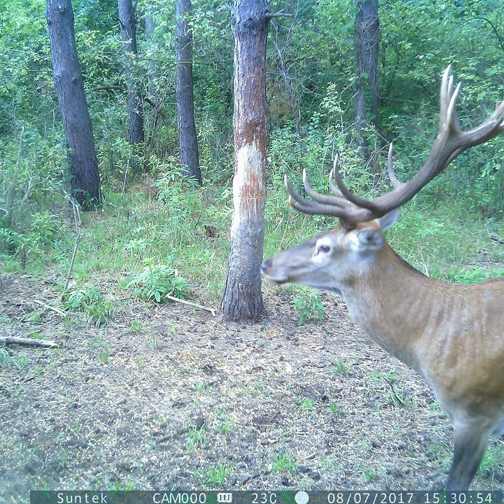 Suntekcam 2G GSM Trail дикая охотничья Камера ловушки фото HC700M 16MP 1080P MMS инфракрасная камера