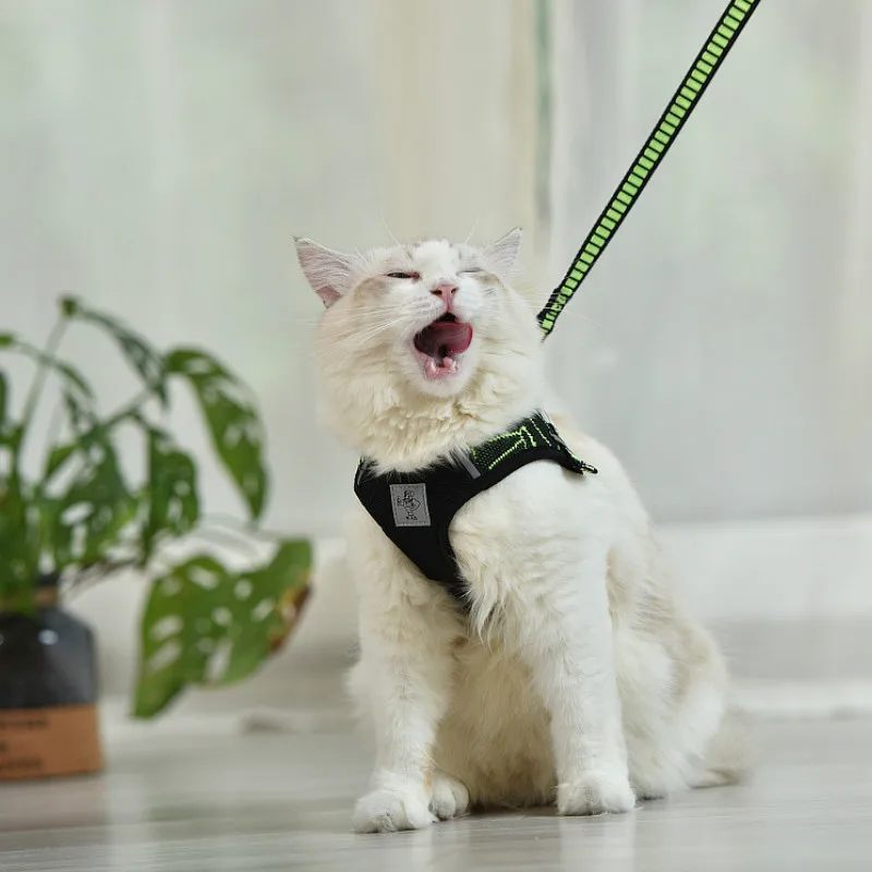 

Pet Supplies Dog Harness Cat Harness Leashes Set Polyester Breathable Mesh Cloth Thickened Nylon Webbing Reflective Design