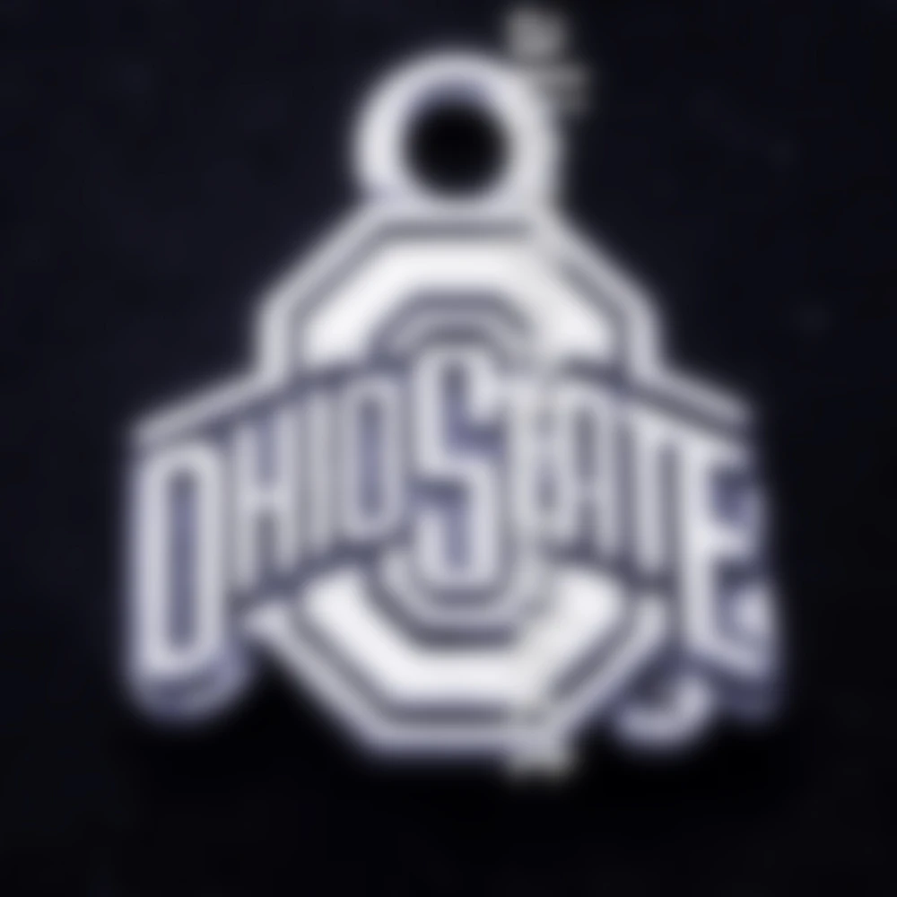 

Шармы-подвески с надписью футбольной команды Университета Огайо, штат, бак и глаза, ювелирные изделия «сделай сам», фурнитура для браслета, ...