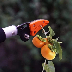 Garden Tools Basket Pole Stick Fruit Picker Gripper Tree Long Cutter Catcher Pole Greenhouse Gardening Tools 10 item image