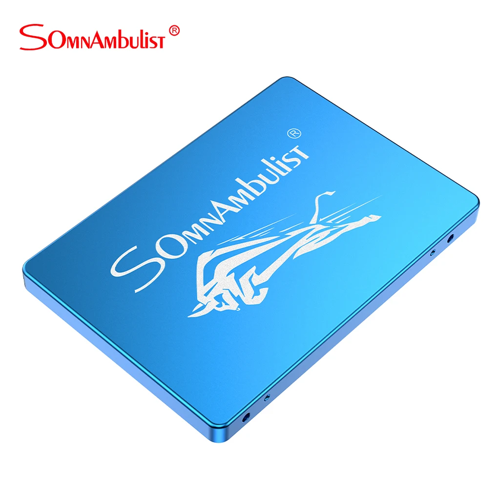 

SOMNAMBULIST SSD жесткий диск 2,5 дюйма SATA3 SSD 120 ГБ 128 ГБ твердотельный накопитель 240 ГБ 256 ГБ 480 ГБ 521 Гб Твердотельный накопитель 960 ГБ