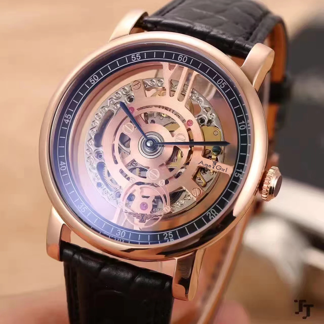 

Luxury Brand New Men Automatic Mechanical Skeleton Rome Stainless Steel Black Brown Leather Sapphire Rose Gold Coffee Watch