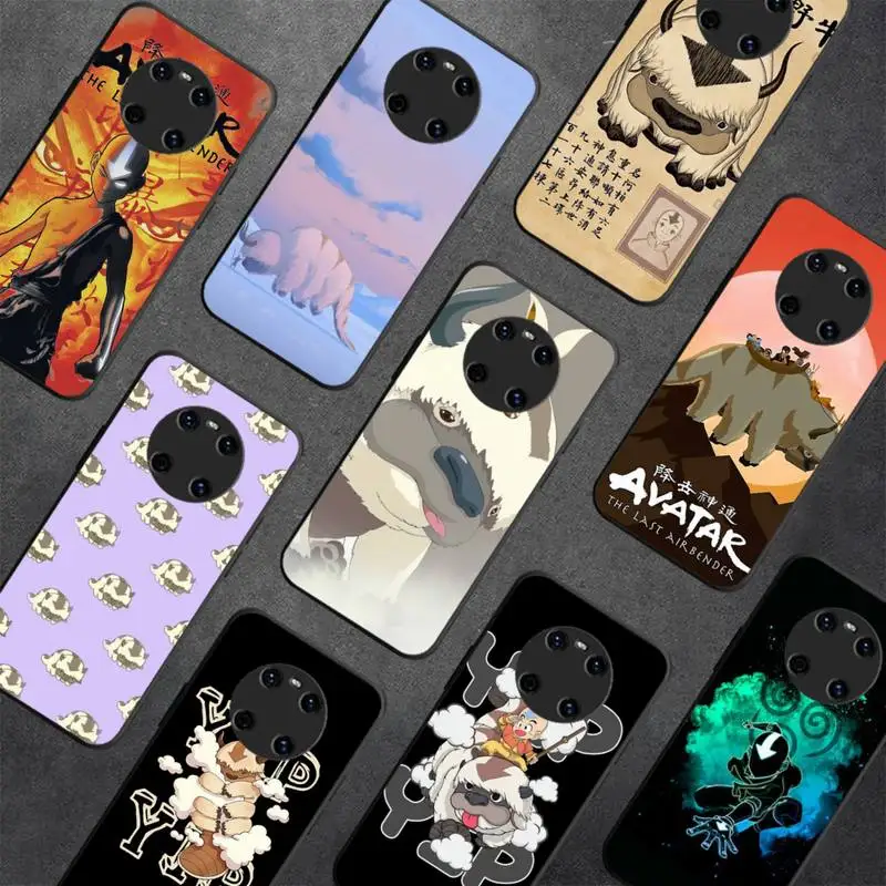 

Anime Avatar The Last Airbender Phone Case For Huawei Y5 Y62019 Y52018 Y92019 funda case for 9prime2019