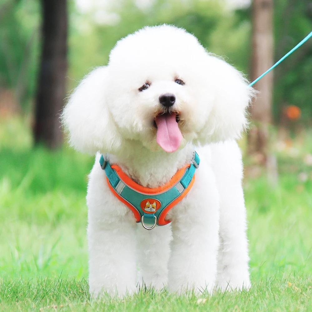 Регулируемая шлейка для собак не тянется милый щенок кошка мягкий поводок