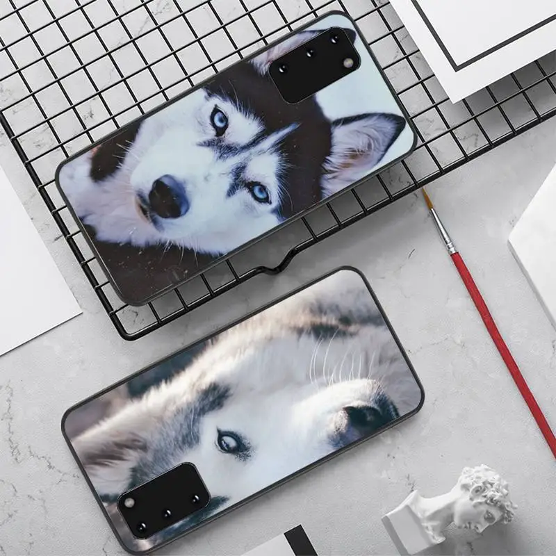 

YNDFCNB Alaskan Huskies Dog Phone Case for Samsung S10 21 20 9 8 plus lite S20 UlTRA 7edge