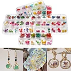 1 коробка сушеных цветов, сухие растения для Rsein, формы для наполнения, эпоксидная смола, подвеска, ожерелье, изготовление ювелирных изделий, рукоделие, украшение для ногтевого дизайна