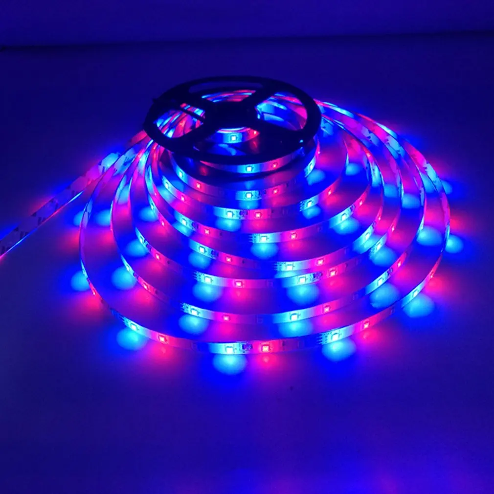 

Led Light Strip Marquee Belt With 24-Key Controller Color Box Set Waterproof 3528Rgb Lighting Decoration