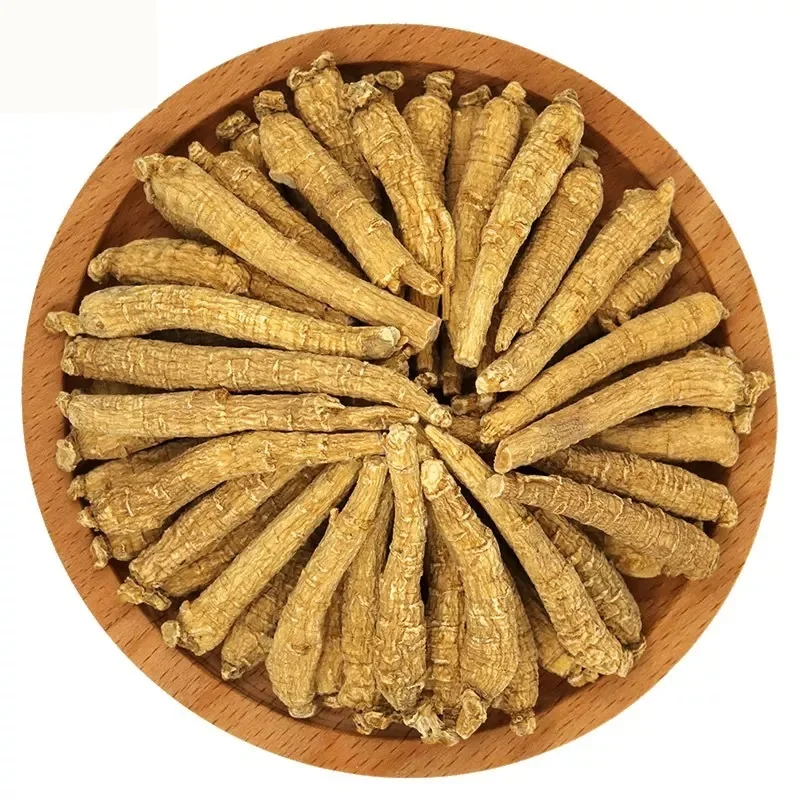 

500g Natural American panax 6-year insam Enhance immunity