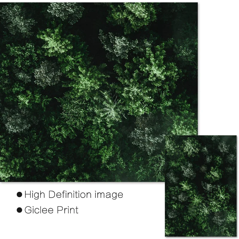 Настенная аэрофотосъемка с зеленым лесом современные Ландшафтные постеры и
