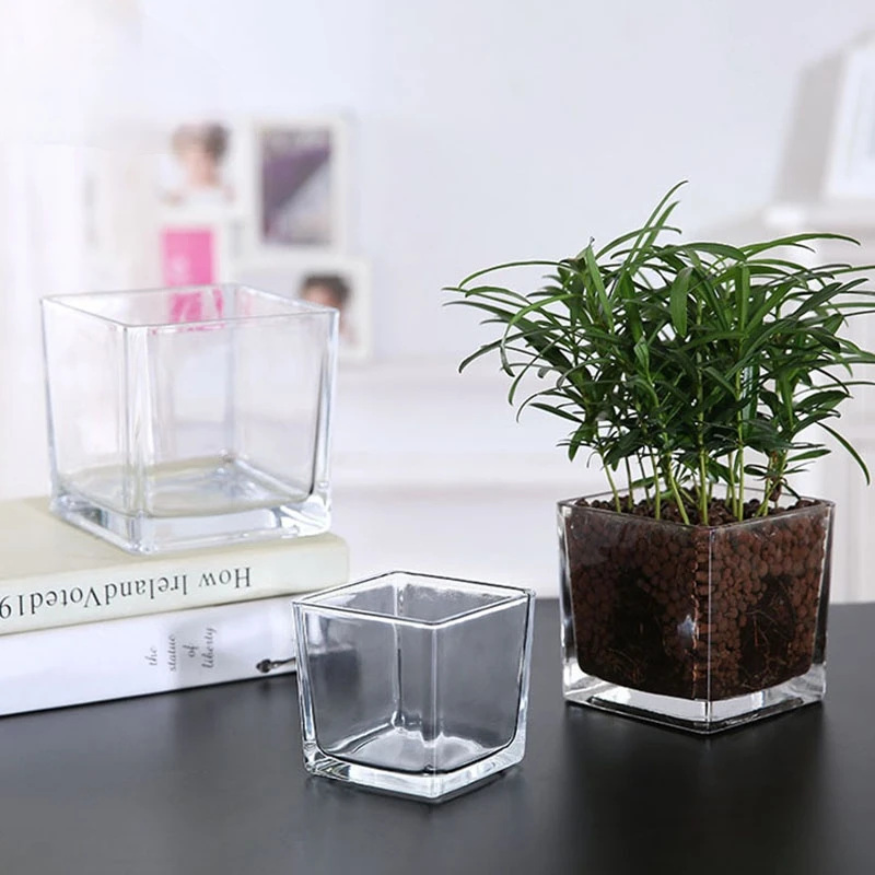 Горшки Для Орхидей Прозрачные Стеклянные Купить