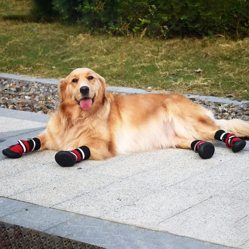 Обувь для собак с высокой талией золотистый ретривер Самос Хаски