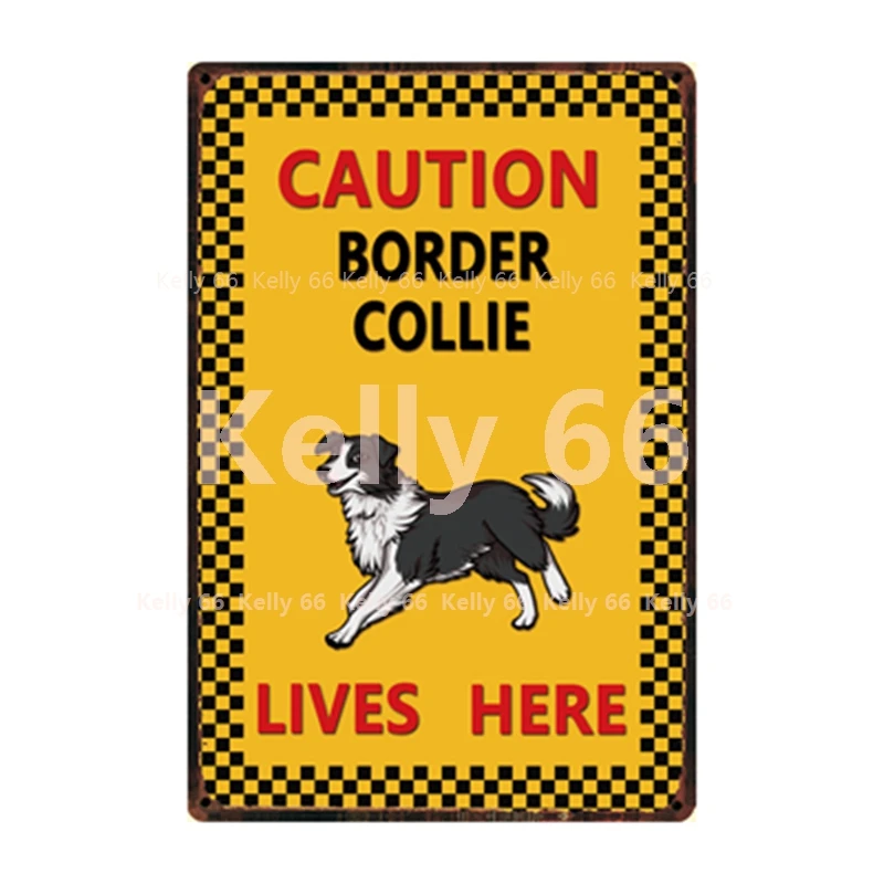 [Kelly66] собака внимание Английский бульдог бордюр колли живет здесь Металлический