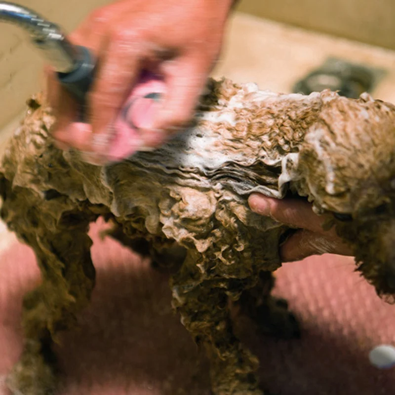 Инструмент для купания питомцев удобный массажер душ инструментов чистки