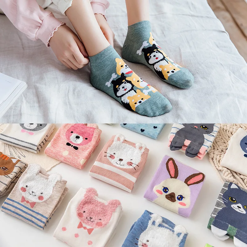 

5 pairs of kawaii cartoon socks Harajuku funny cat bear rabbit dog penguin cute animal spring and summer woman short socks