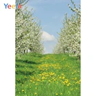Фон для фотосъемки Yeele, романтический туннель, цветущие деревья, пастбище, реквизит для фотостудии