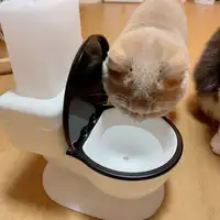 Поилка для кошек #5