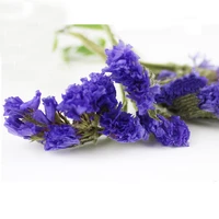 100g dried natural flowers natural dried myosotis sylvaticanatural dried forget me not flower buds