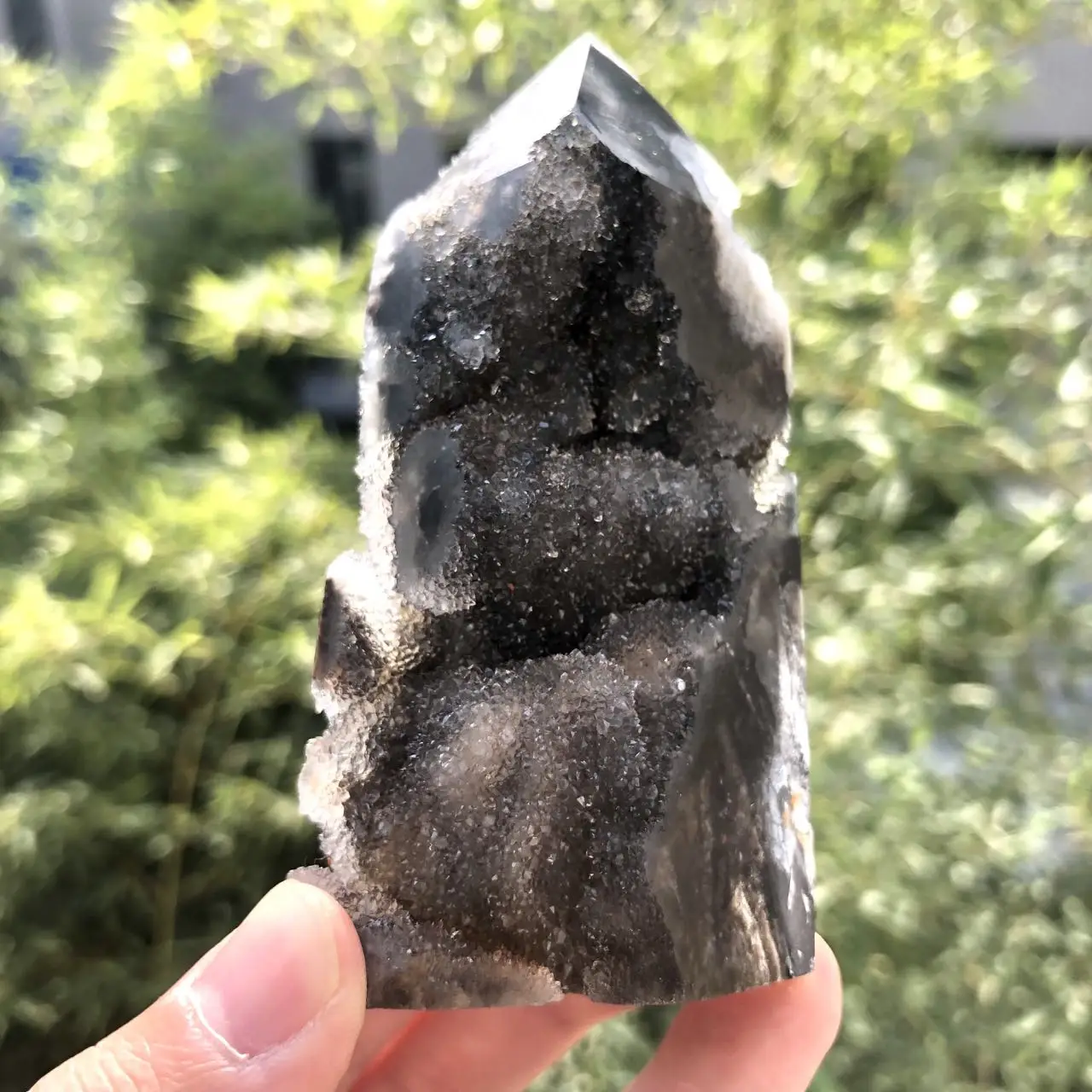 Приблизительно 200 фотоэлемент высокое качество натуральный красивый