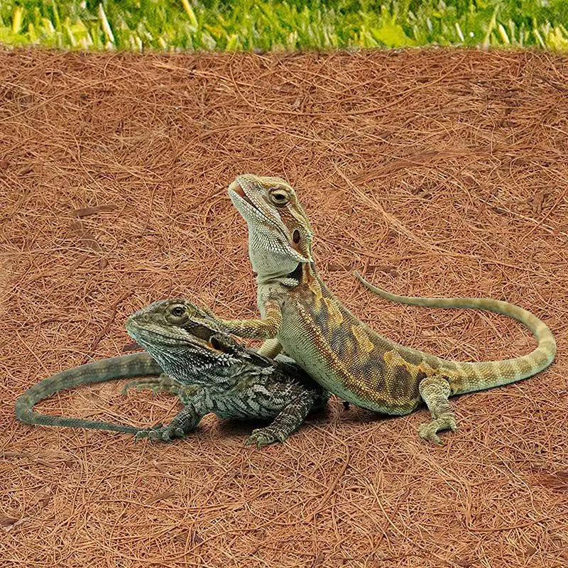 Коврик для террариума ящерица змея черепахи игуаны геккон натуральное кокосовое