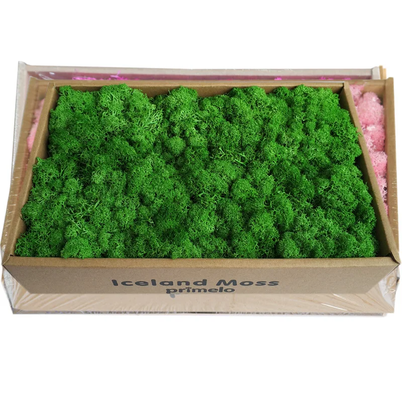 Вечный сушеный мох трава искусственный вечный сад домашний декор DIY сохраненный