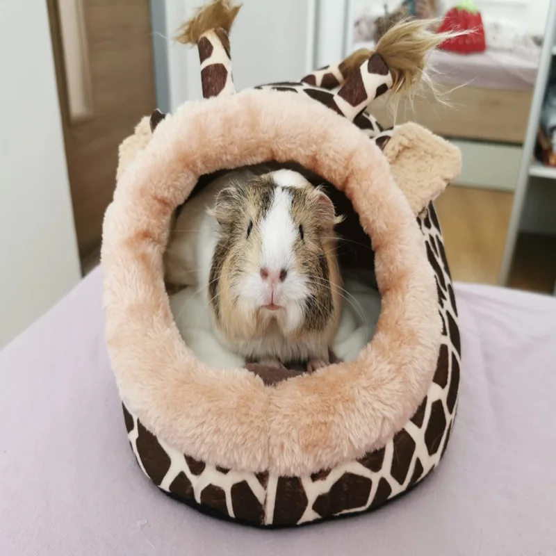 Домик для хомяка в виде белки кровать свинок хорошего сна удобная морская
