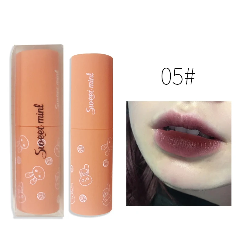 

6 Colors Velvet Matte Lipstick Sexy Red Lip Waterproof Lip Glaze Long Lasting Lip Tint Lip Cosmetic TSLM1
